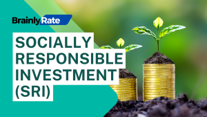 Read more about the article Understanding Socially Responsible Investment (SRI)