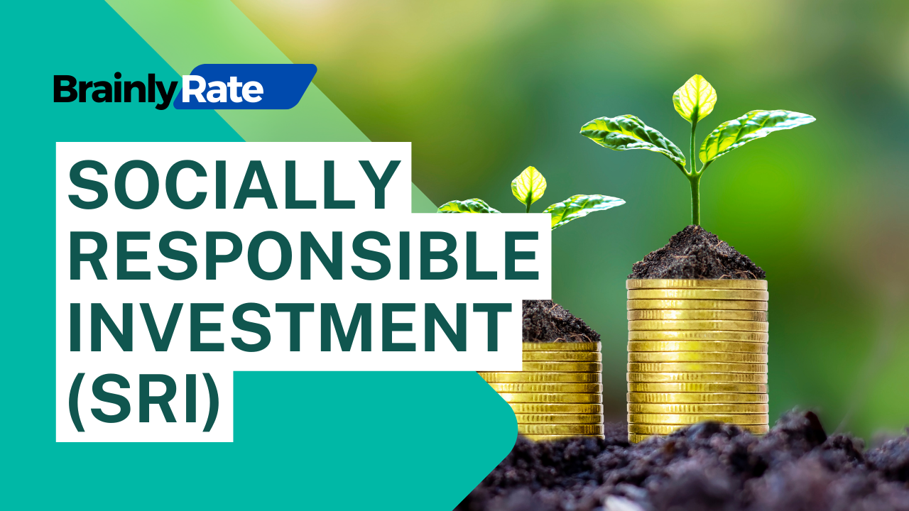 You are currently viewing Understanding Socially Responsible Investment (SRI)